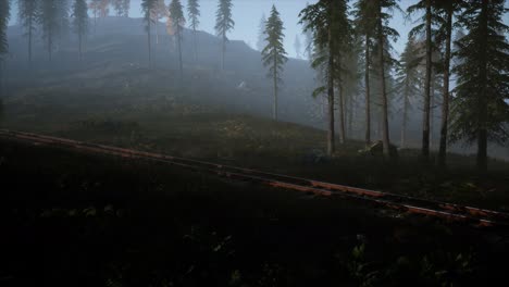 National-Forest-Recreation-Area-and-the-fog-with-railway